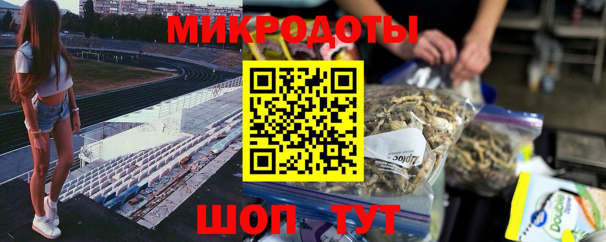 Псилоцибиновые грибы Psilocybine cubensis Новоалтайск