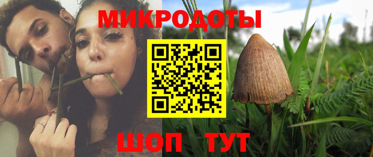 Галлюциногенные грибы Magic Shrooms  дарнет шоп  Новоалтайск  Вход с VPN 