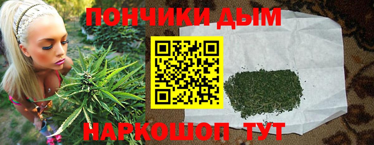 Канабис гибрид Новоалтайск
